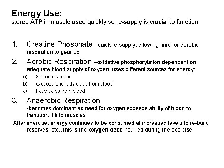 Energy Use: stored ATP in muscle used quickly so re-supply is crucial to function