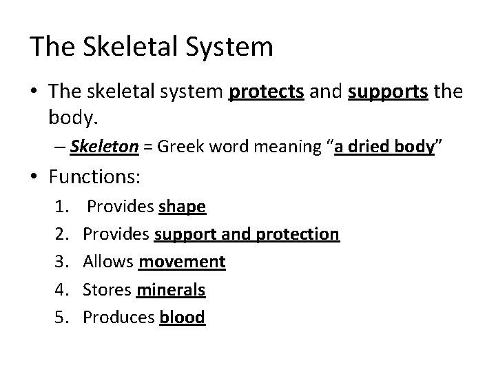 The Skeletal System • The skeletal system protects and supports the body. – Skeleton