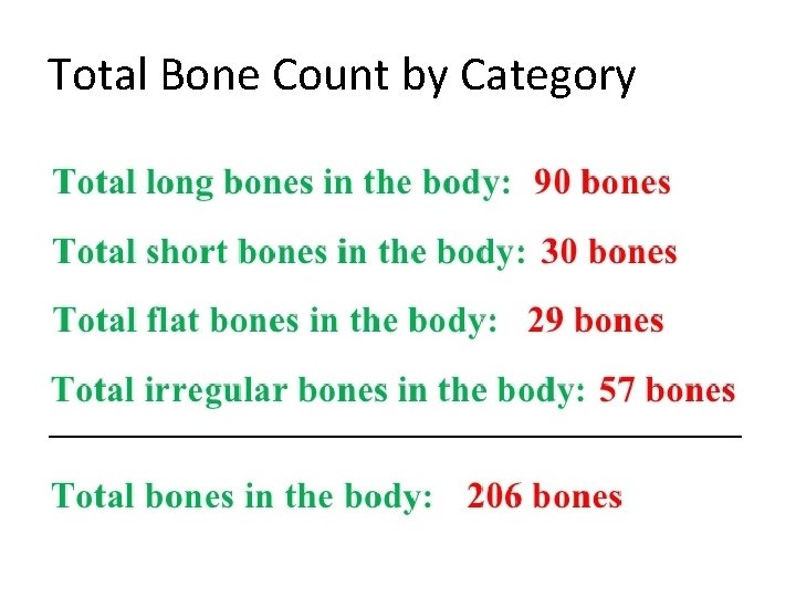 Total Bone Count by Category 