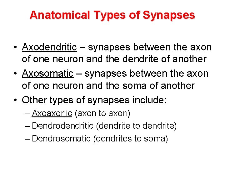 Anatomical Types of Synapses • Axodendritic – synapses between the axon of one neuron