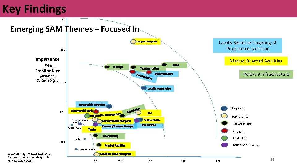Key Findings 5. 0 Emerging SAM Themes – Focused In Large Enterprise Locally Sensitive