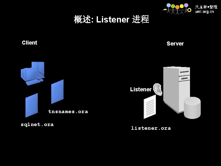 概述: Listener 进程 Client Server Listener tnsnames. ora sqlnet. ora listener. ora 