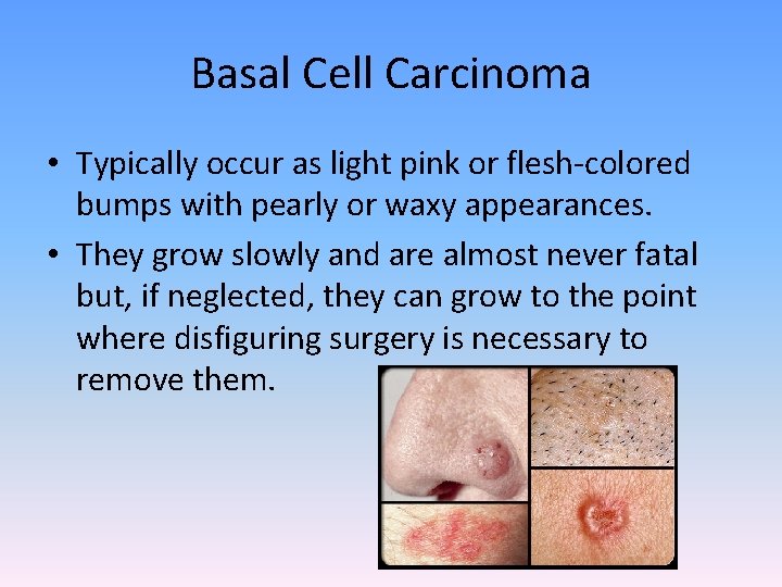 8 th 7 th Grade Objective 1 2