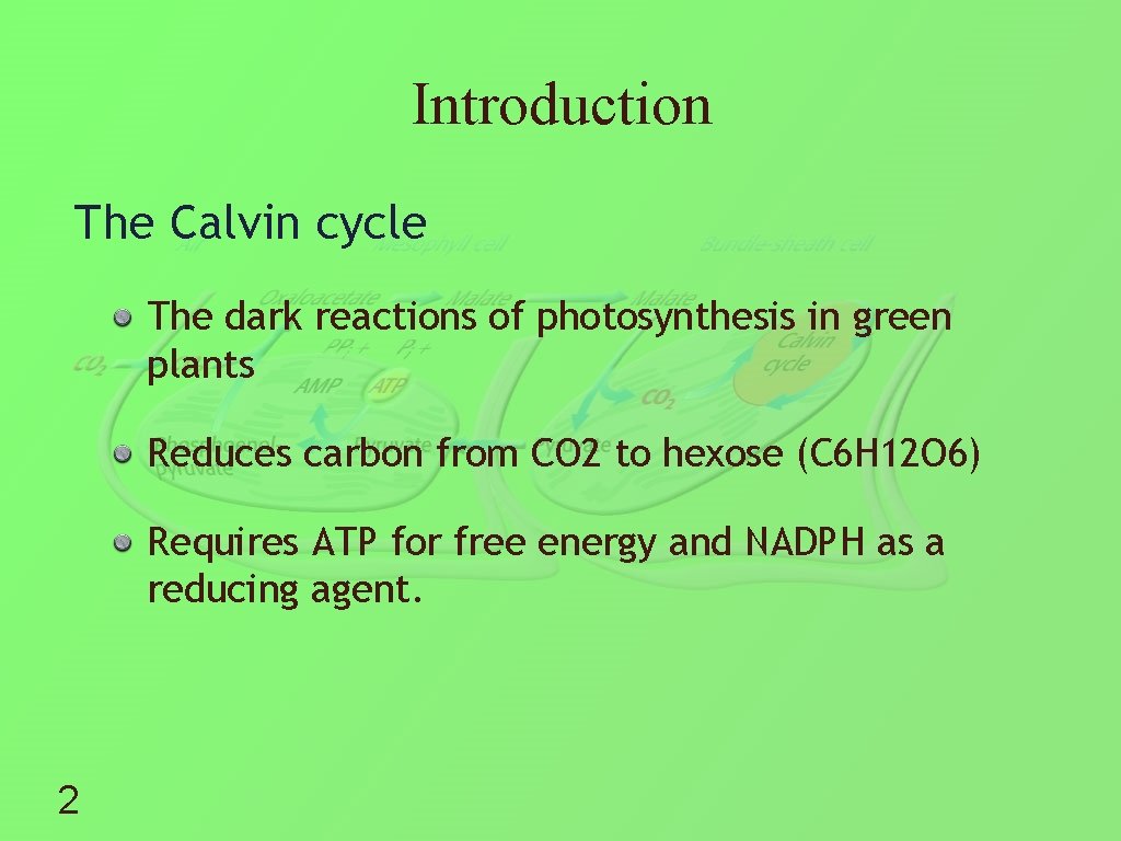 Introduction The Calvin cycle The dark reactions of photosynthesis in green plants Reduces carbon