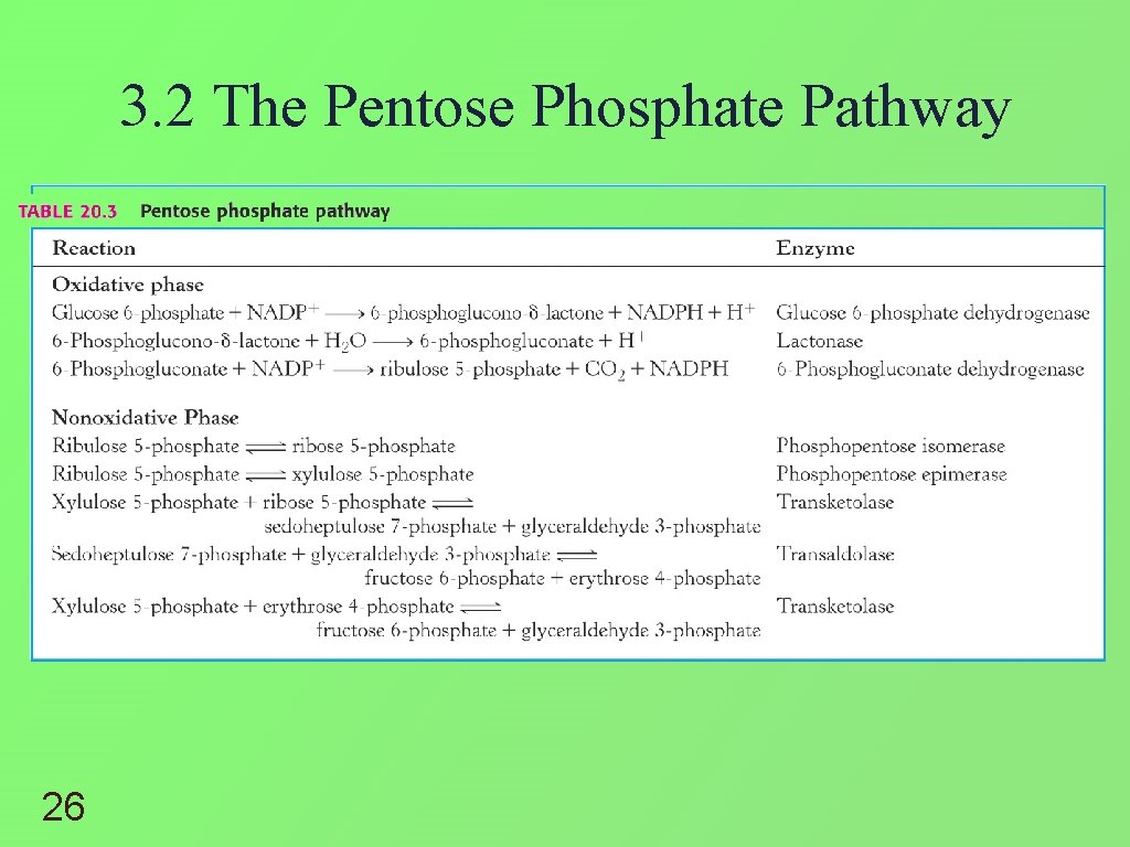 3. 2 The Pentose Phosphate Pathway 26 