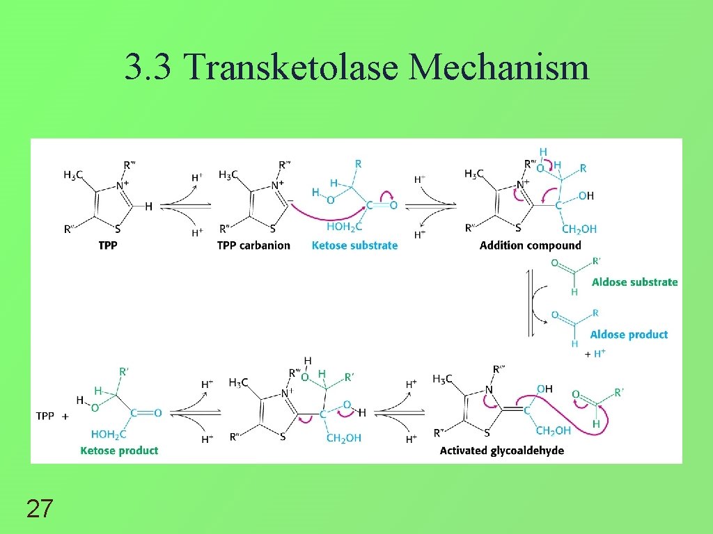 3. 3 Transketolase Mechanism 27 