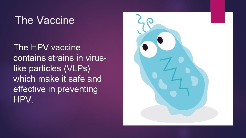 The Vaccine The HPV vaccine contains strains in viruslike particles (VLPs) which make it