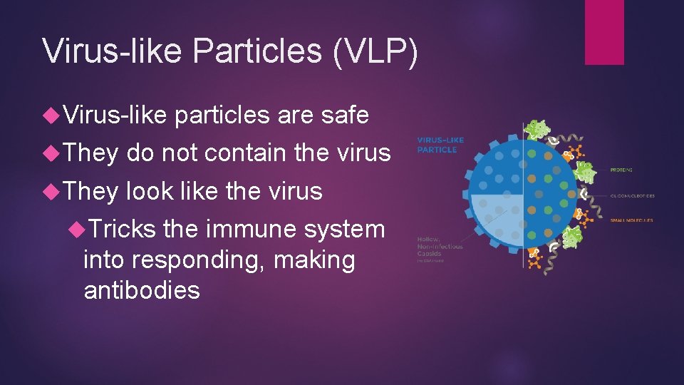 Virus-like Particles (VLP) Virus-like particles are safe They do not contain the virus They