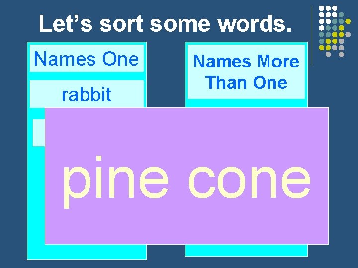 Let’s sort some words. Names One rabbit flower Names More Than One pots pine