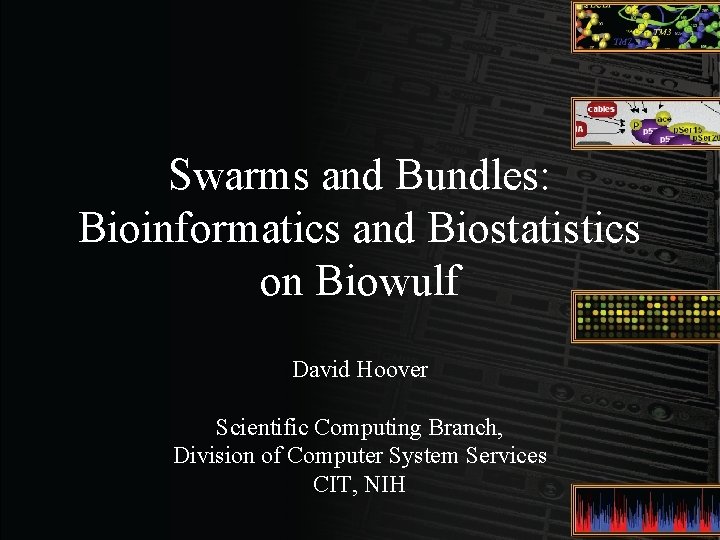 Swarms and Bundles: Bioinformatics and Biostatistics on Biowulf David Hoover Scientific Computing Branch, Division