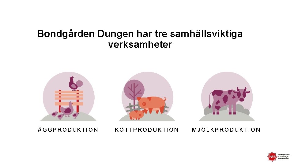 Bondgården Dungen har tre samhällsviktiga verksamheter ÄGGPRODUKTION KÖTTPRODUKTION MJÖLKPRODUKTION 