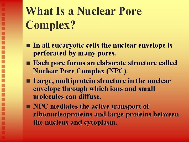 What Is a Nuclear Pore Complex? n n In all eucaryotic cells the nuclear What Is a Nuclear Pore Complex? n n In all eucaryotic cells the nuclear