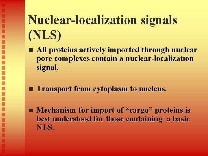 Nuclear-localization signals (NLS) n All proteins actively imported through nuclear pore complexes contain a Nuclear-localization signals (NLS) n All proteins actively imported through nuclear pore complexes contain a