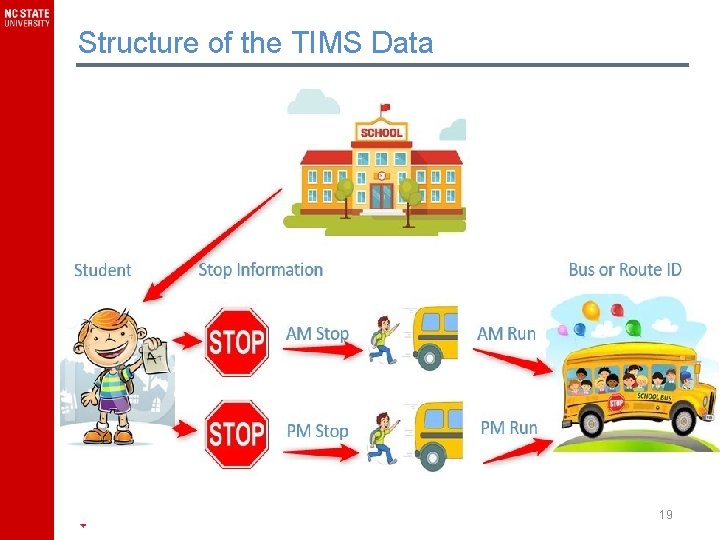 Structure of the TIMS Data 19 