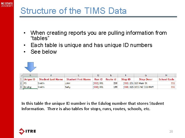 Structure of the TIMS Data • When creating reports you are pulling information from