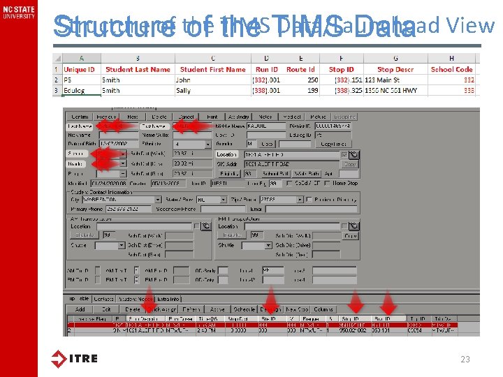 Structure of the TIMS Data/Launchpad Structure of the Data View 23 