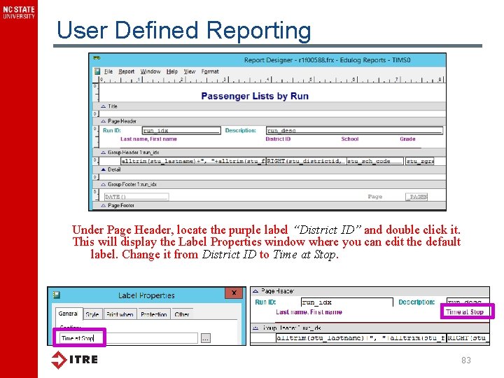 User Defined Reporting Under Page Header, locate the purple label “District ID” and double