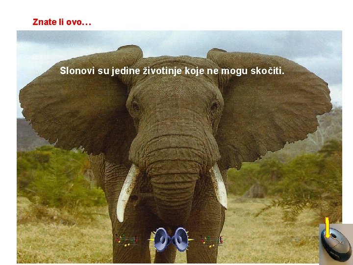 Znate li ovo… Slonovi su jedine životinje koje ne mogu skočiti. 