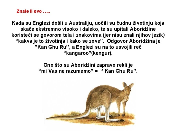 Znate li ovo …. . Kada su Englezi došli u Australiju, uočili su čudnu