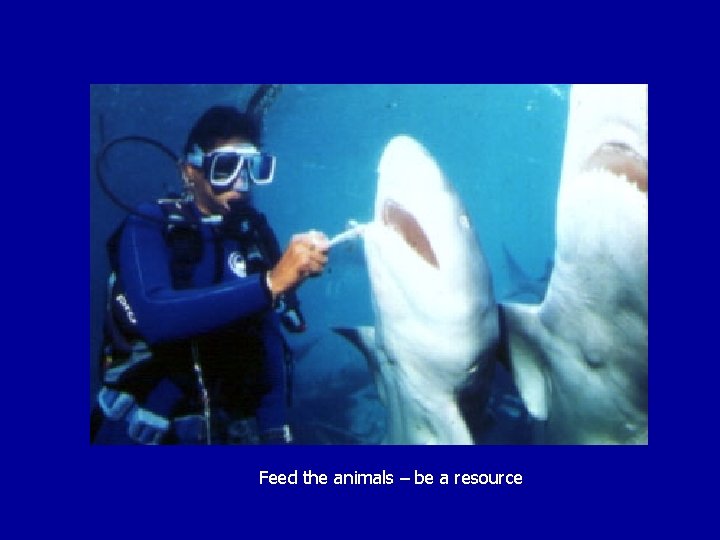 Feed the animals – be a resource 