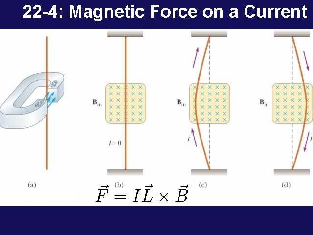 22 -4: Magnetic Force on a Current 