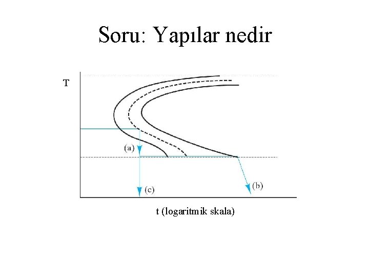 Soru: Yapılar nedir T t (logaritmik skala) 