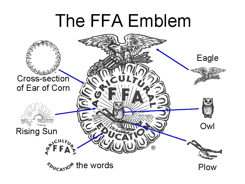 The FFA Emblem Eagle Cross-section of Ear of Corn Owl Rising Sun the words The FFA Emblem Eagle Cross-section of Ear of Corn Owl Rising Sun the words