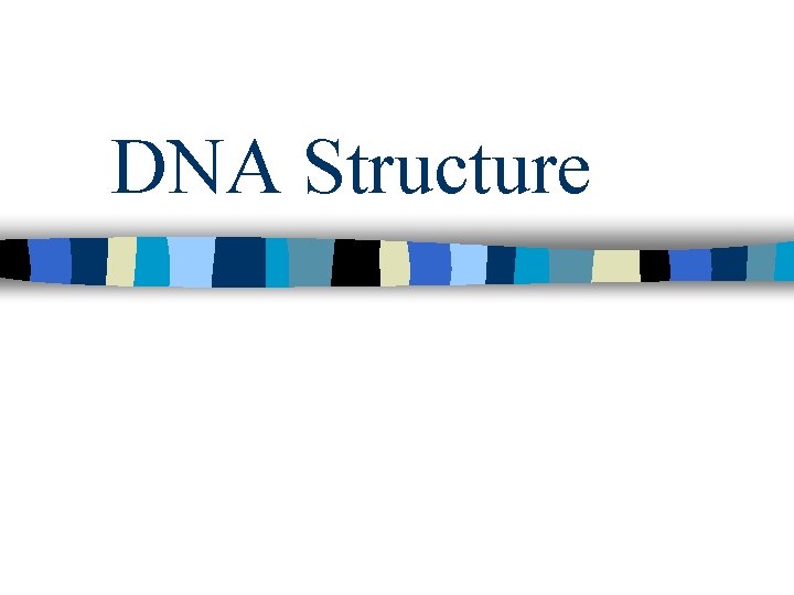 DNA Structure 