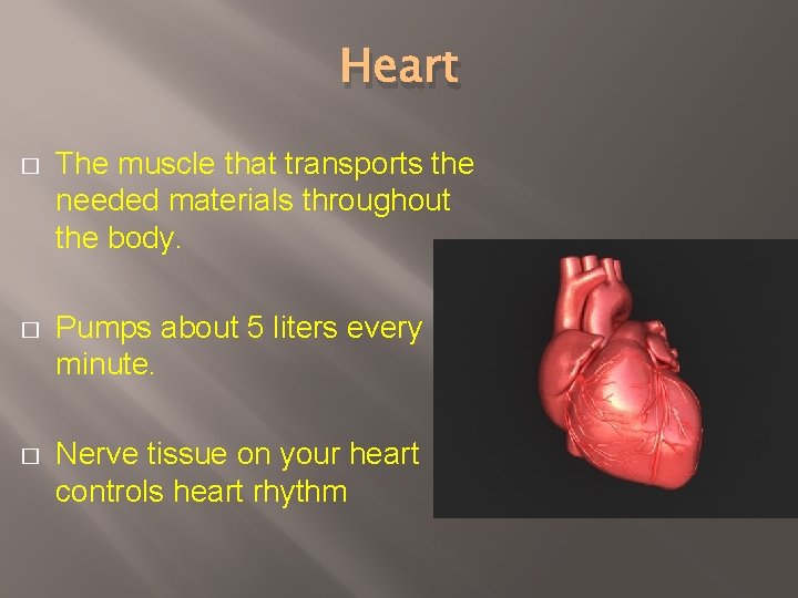 Heart � The muscle that transports the needed materials throughout the body. � Pumps