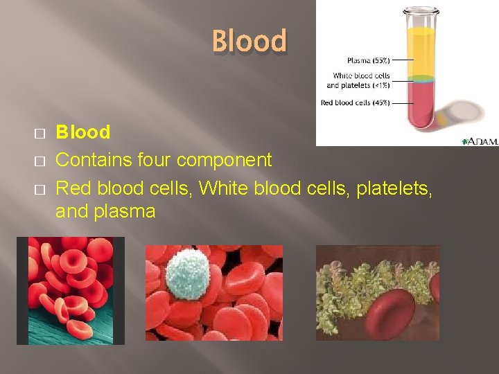 Blood � � � Blood Contains four component Red blood cells, White blood cells,