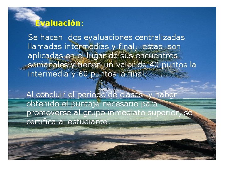 Evaluación: Se hacen dos evaluaciones centralizadas llamadas intermedias y final, estas son aplicadas en