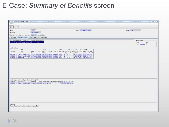 E-Case: Summary of Benefits screen 36 