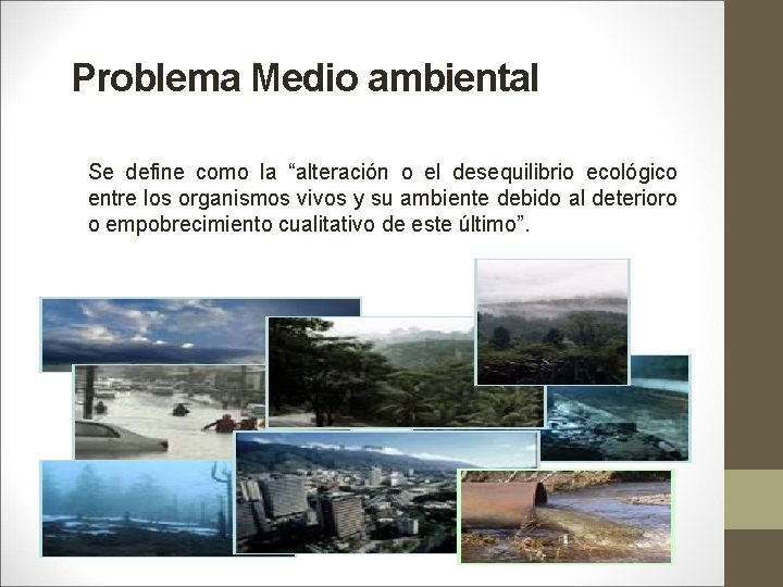 Problema Medio ambiental Se define como la “alteración o el desequilibrio ecológico entre los