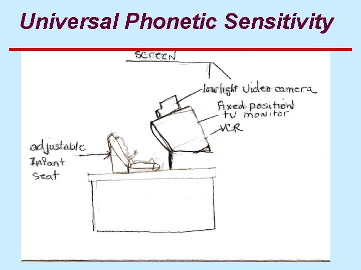 Universal Phonetic Sensitivity 
