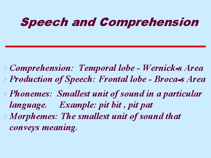 Speech and Comprehension P Comprehension: Temporal lobe - Wernick=s Area P Production of Speech: