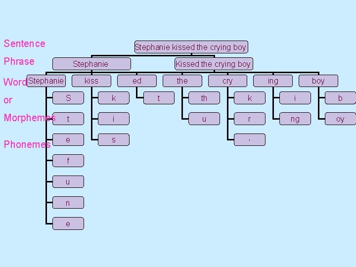 Sentence Stephanie kissed the crying boy Phrase Stephanie Word Stephanie Kissed the crying boy