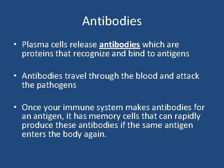 Antibodies • Plasma cells release antibodies which are proteins that recognize and bind to