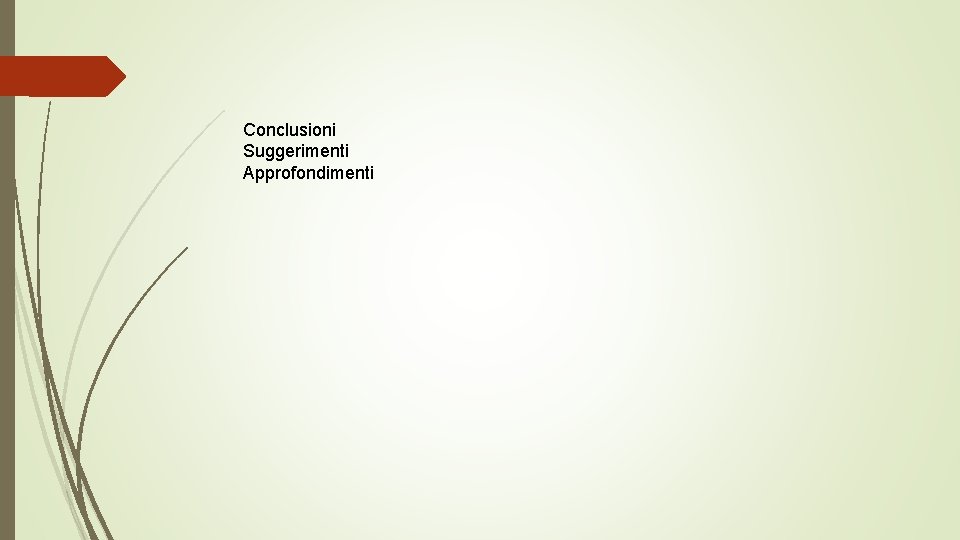 Conclusioni Suggerimenti Approfondimenti 