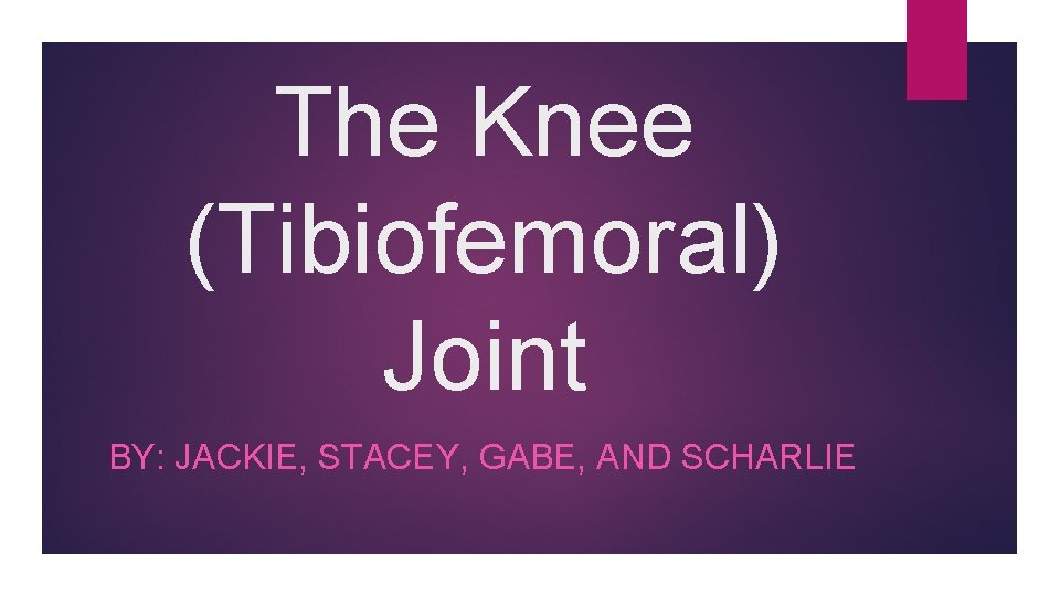 The Knee (Tibiofemoral) Joint BY: JACKIE, STACEY, GABE, AND SCHARLIE 