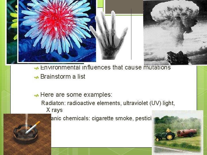 Definitions Mutagens Environmental influences that cause mutations Brainstorm a list Here are some examples: