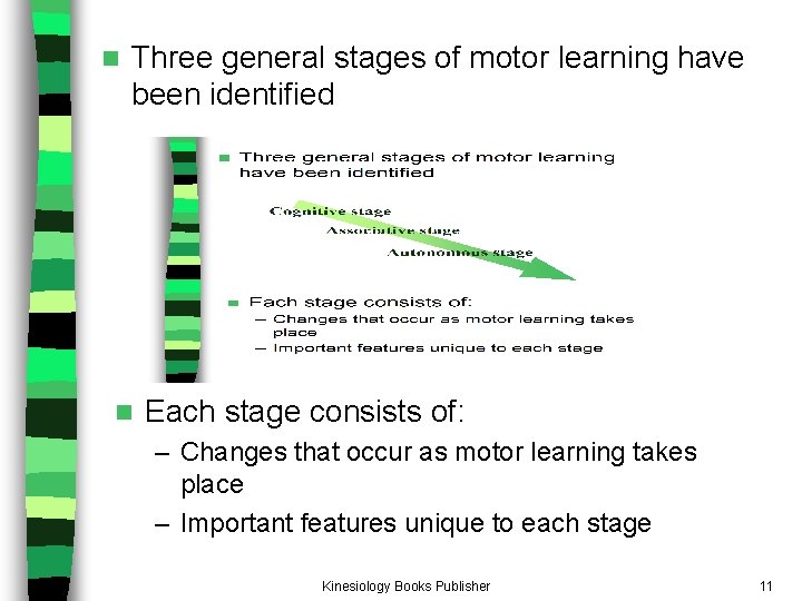 n Three general stages of motor learning have been identified n Each stage consists n Three general stages of motor learning have been identified n Each stage consists