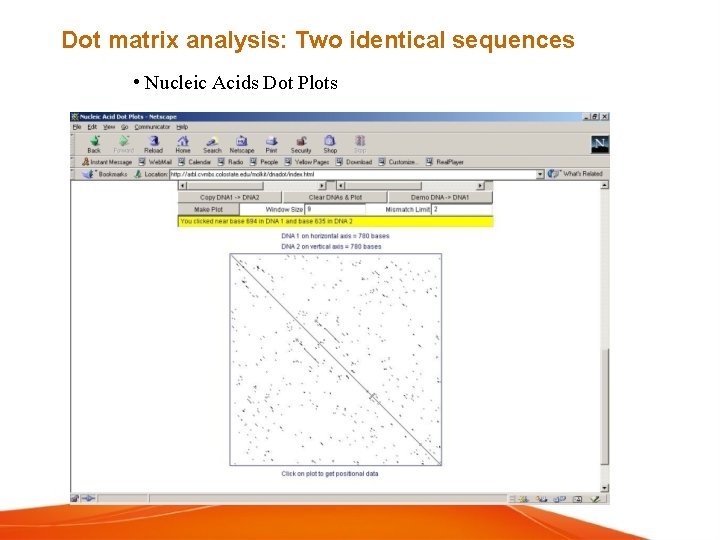 Dot matrix analysis: Two identical sequences • Nucleic Acids Dot Plots 