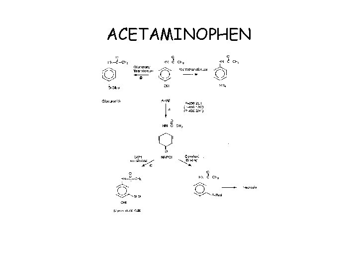 ACETAMINOPHEN 