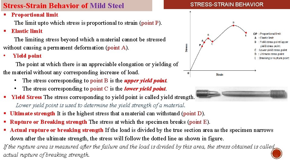 Stress-Strain Behavior of Mild Steel STRESS-STRAIN BEHAVIOR § Proportional limit The limit upto which