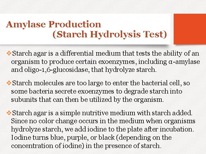 Amylase Production (Starch Hydrolysis Test) v. Starch agar is a differential medium that tests