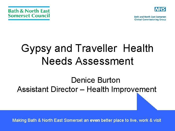 Gypsy and Traveller Health Needs Assessment Denice Burton Assistant Director – Health Improvement Making