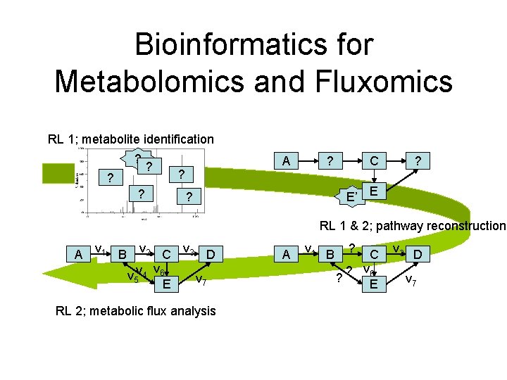 Bioinformatics for Metabolomics and Fluxomics RL 1; metabolite identification ? ? ? ? A