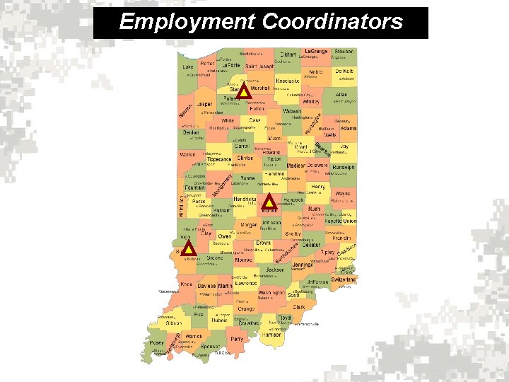 Employment Coordinators 