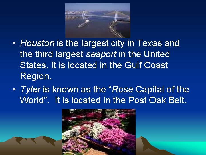  • Houston is the largest city in Texas and the third largest seaport
