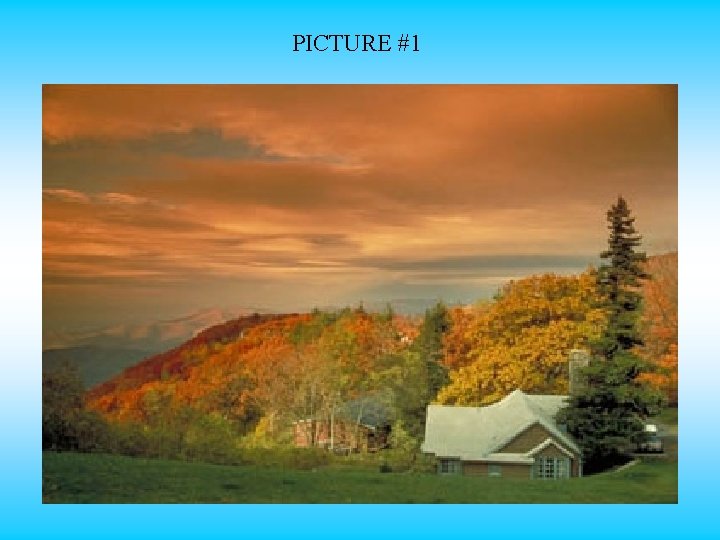 PICTURE #1 